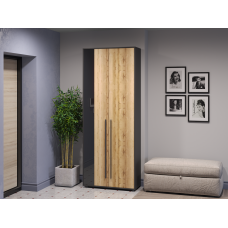 Шкаф "Аэлита" 2-х дверный секция №5 дуб вотан/черный